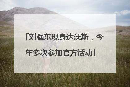 刘强东现身达沃斯，今年多次参加官方活动