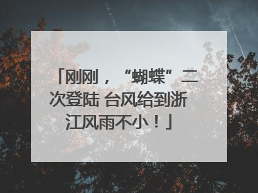 刚刚，“蝴蝶”二次登陆 台风给到浙江风雨不小！