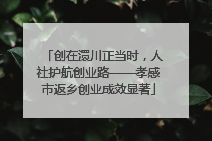 创在澴川正当时，人社护航创业路——孝感市返乡创业成效显著