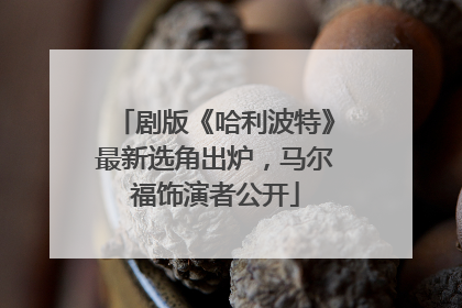 剧版《哈利波特》最新选角出炉，马尔福饰演者公开