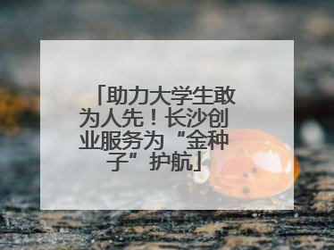 助力大学生敢为人先！长沙创业服务为“金种子”护航