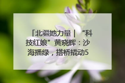 北疆她力量｜“科技红娘”黄晓辉：沙海播绿，搭桥撬动5.3亿研发
