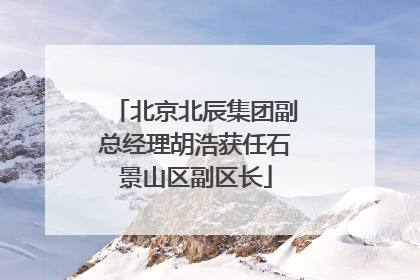 北京北辰集团副总经理胡浩获任石景山区副区长