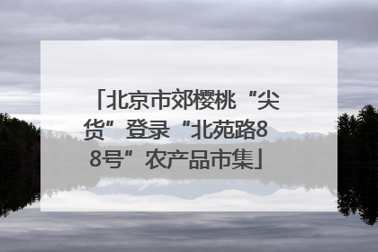 北京市郊樱桃“尖货”登录“北苑路88号”农产品市集