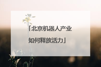 北京机器人产业如何释放活力