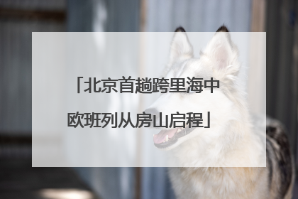 北京首趟跨里海中欧班列从房山启程