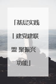 基层实践丨建党建联盟 聚振兴功能