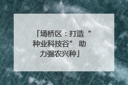 埇桥区：打造“种业科技谷” 助力强农兴种
