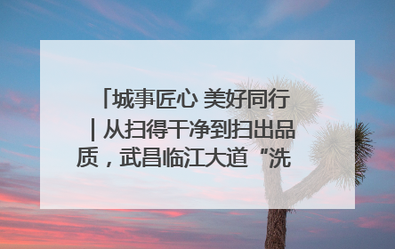 城事匠心 美好同行｜从扫得干净到扫出品质，武昌临江大道“洗”出洁净样板路