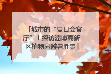 城市的“夏日会客厅”！探访淄博高新区植物园避暑胜景