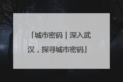 城市密码｜深入武汉，探寻城市密码