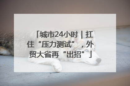 城市24小时｜扛住“压力测试”，外贸大省再“出招”