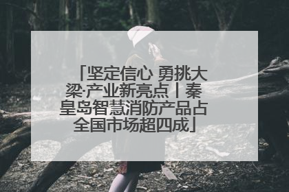 坚定信心 勇挑大梁·产业新亮点丨秦皇岛智慧消防产品占全国市场超四成