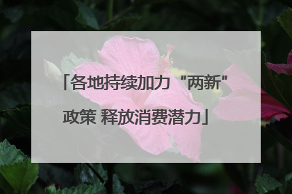 各地持续加力“两新”政策 释放消费潜力