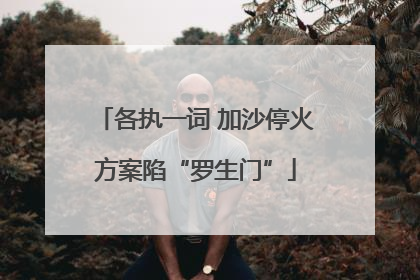 各执一词 加沙停火方案陷“罗生门”