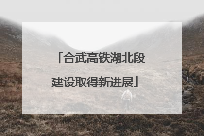 合武高铁湖北段建设取得新进展