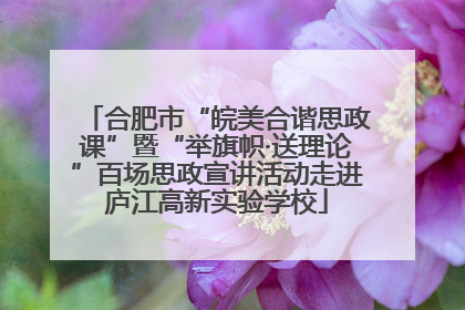 合肥市“皖美合谐思政课”暨“举旗帜·送理论”百场思政宣讲活动走进庐江高新实验学校