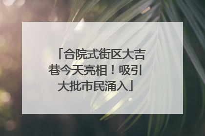 合院式街区大吉巷今天亮相！吸引大批市民涌入