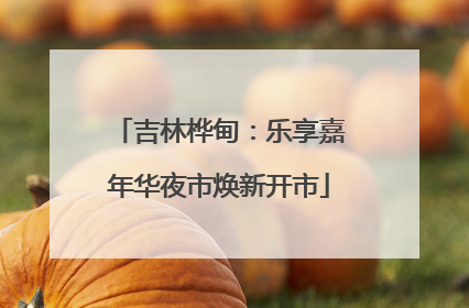 吉林桦甸：乐享嘉年华夜市焕新开市