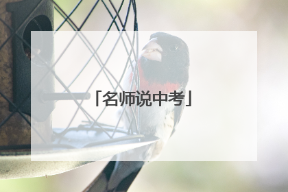 名师说中考