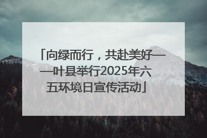 向绿而行，共赴美好——叶县举行2025年六五环境日宣传活动