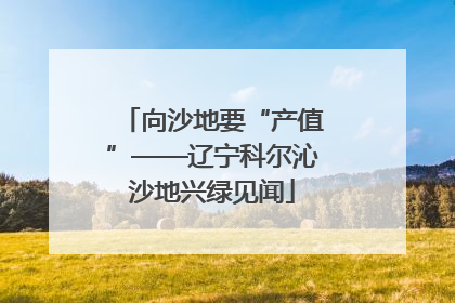 向沙地要“产值”——辽宁科尔沁沙地兴绿见闻