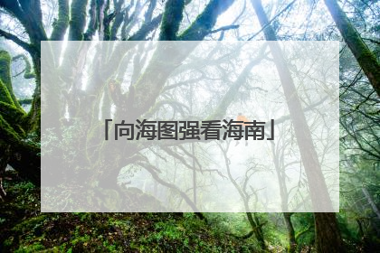 向海图强看海南