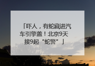 吓人，有蛇藏进汽车引擎盖！北京9天接9起“蛇警”