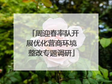 周迎春率队开展优化营商环境整改专题调研