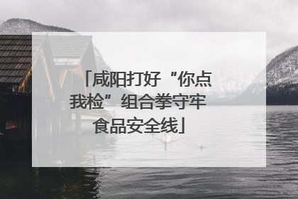 咸阳打好“你点我检”组合拳守牢食品安全线
