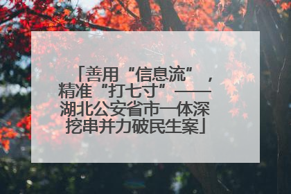 善用“信息流”，精准“打七寸”——湖北公安省市一体深挖串并力破民生案