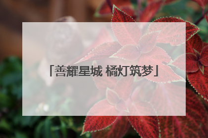 善耀星城 橘灯筑梦