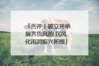 善评｜破立并举展齐鲁风韵 民风化雨润振兴新颜