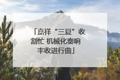 嘉祥“三夏”收割忙 机械化奏响丰收进行曲