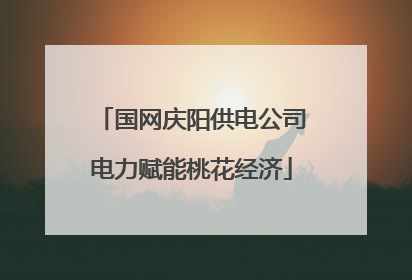 国网庆阳供电公司电力赋能桃花经济