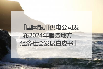 国网银川供电公司发布2024年服务地方经济社会发展白皮书