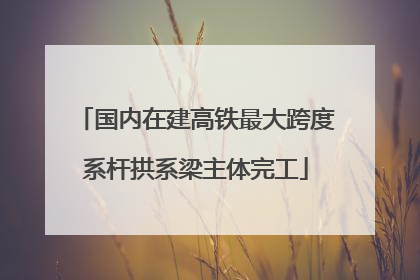 国内在建高铁最大跨度系杆拱系梁主体完工