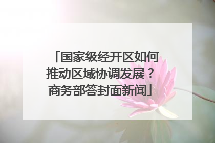 国家级经开区如何推动区域协调发展？商务部答封面新闻