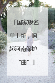 国家级名单上新，响起河南保护“曲”