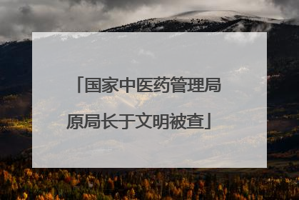 国家中医药管理局原局长于文明被查