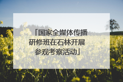 国家全媒体传播研修班在石林开展参观考察活动