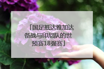 国足抵达雅加达备战与印尼队的世预赛18强赛