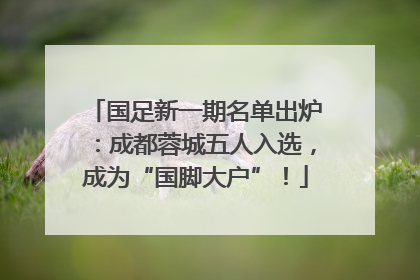 国足新一期名单出炉：成都蓉城五人入选，成为“国脚大户”！