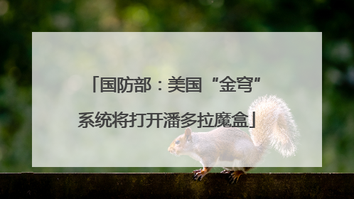 国防部：美国“金穹”系统将打开潘多拉魔盒