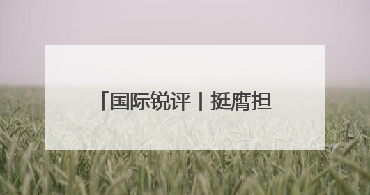 国际锐评丨挺膺担当，中俄并肩对世界负起“特殊责任”