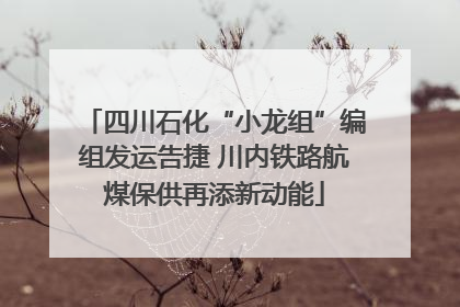 四川石化“小龙组”编组发运告捷 川内铁路航煤保供再添新动能
