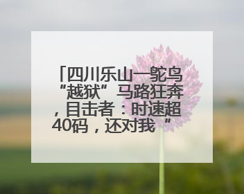 四川乐山一鸵鸟“越狱”马路狂奔，目击者：时速超40码，还对我“笑”了下