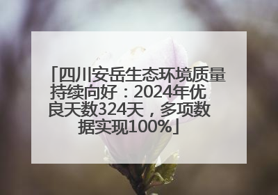四川安岳生态环境质量持续向好：2024年优良天数324天，多项数据实现100%