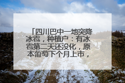 四川巴中一地突降冰雹，种植户：有冰雹第二天还没化，原本葡萄下个月上市，现在全被打落