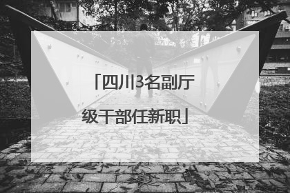 四川3名副厅级干部任新职